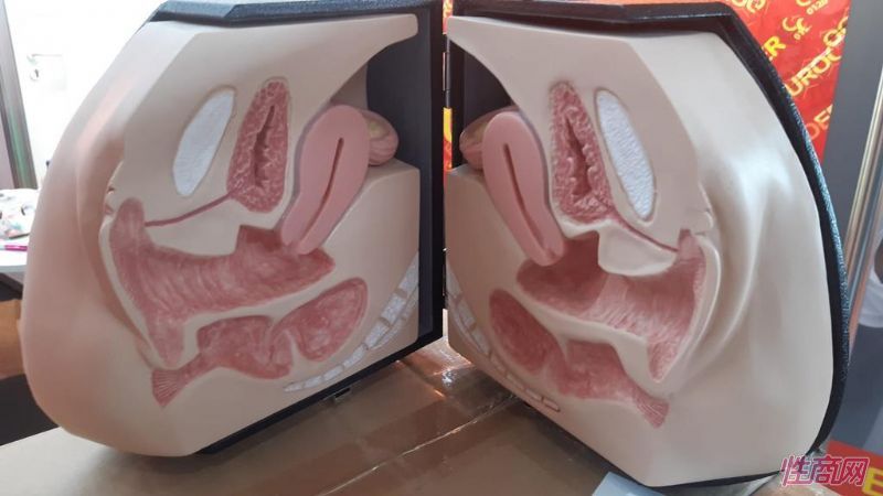 Ů����������ģ������˵����Ȥ���ʹ�÷���