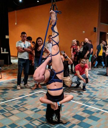 ������Ƶֱ��ƽ̨����2019���������ܳ���չͼƬ26