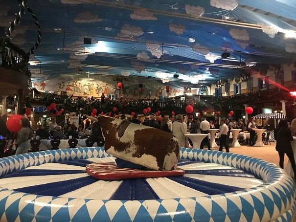 2019�¹���ŵ������չ�ٰ�ʢ���ʮ�������ͼƬ21