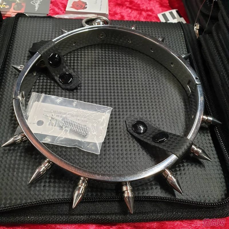 2019�¹����ֳ���չVENUS¡�ؿ�ĻͼƬ37