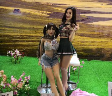 2019�������Ļ���ͼƬ������չ��ģ��ͼƬ27