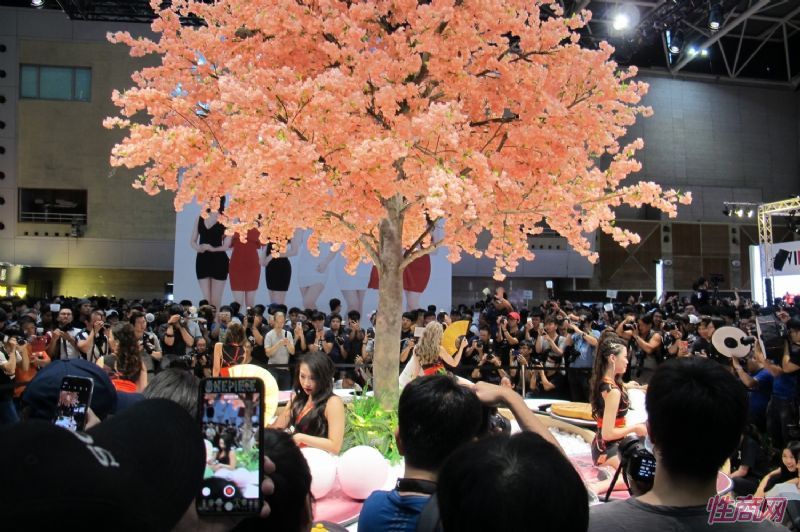 2019̨�����˲�����̨���������˷��᳡ͼƬ35