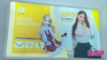 WMDOLL��������