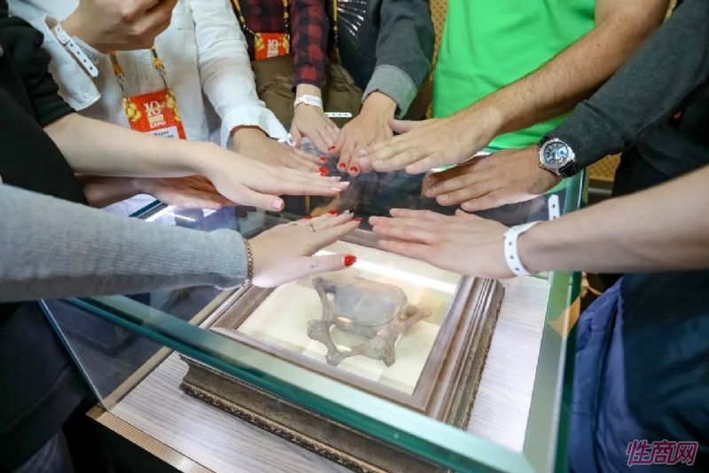 2019����˹����չ��̨���ݷǳ����ʣ�������������ͼƬ19