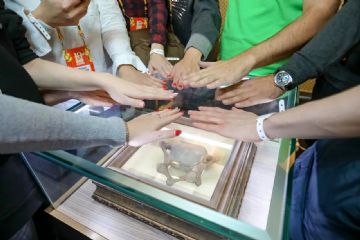 2019����˹����չ��̨���ݷǳ����ʣ�������������ͼƬ19