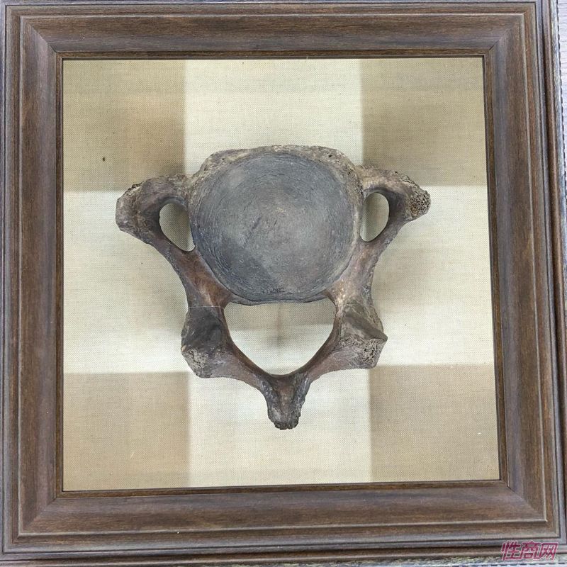 2019����˹����չ��̨���ݷǳ����ʣ�������������ͼƬ27