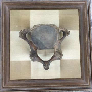 2019����˹����չ��̨���ݷǳ����ʣ�������������ͼƬ27