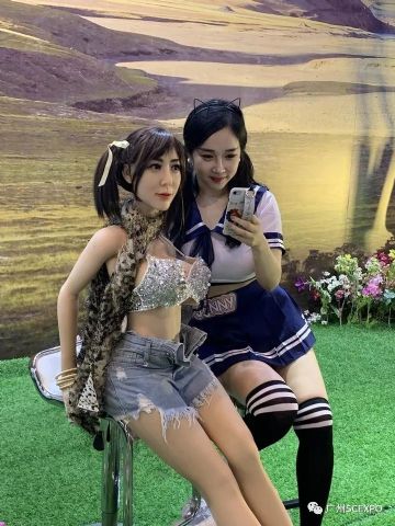 �������Ļ��ڲ�չ��ҵ  (27)