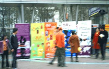 ��ֳ�DKT�������̡��������