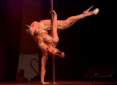 ����ά�ǳ���չ-���ʱ��� (30)