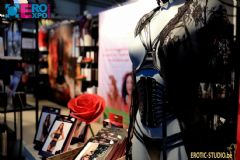 ����ʱ���س���չ-չ���ֳ� (11)