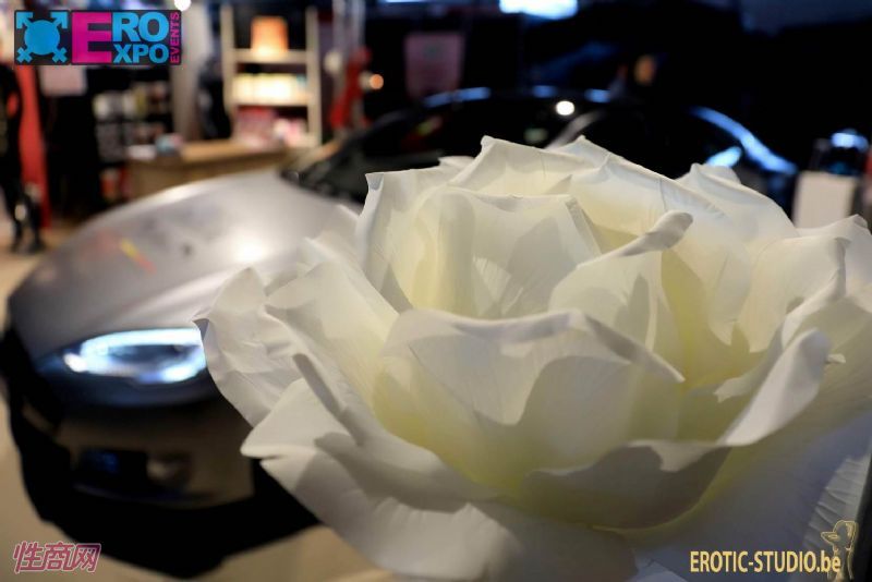 ����ʱ���س���չ-չ���ֳ� (13)