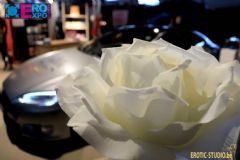 ����ʱ���س���չ-չ���ֳ� (13)