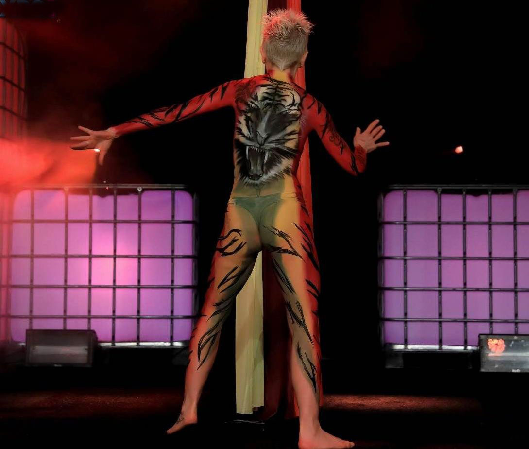 ����ʱ���س���չ-����ʻ� (18)