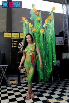 ����ʱ���س���չ-����ʻ� (24)