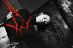 �������ճ���չeroexpo-���ձ��� (3)