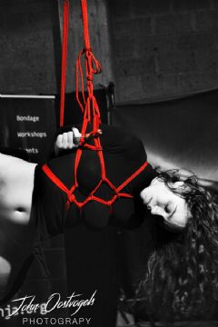 �������ճ���չeroexpo-���ձ��� (4)