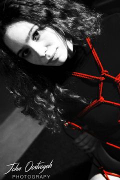 �������ճ���չeroexpo-���ձ��� (11)