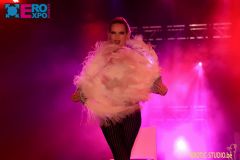 �������ճ���չeroexpo-�������� (37)