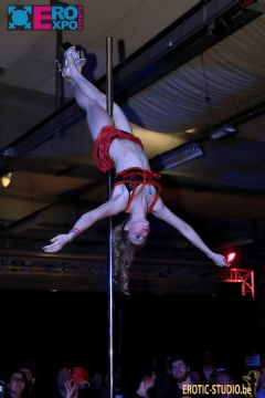 �������ճ���չeroexpo-�������� (38)