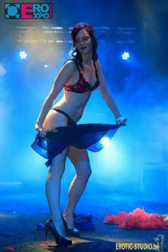 �������ճ���չeroexpo-�������� (45)