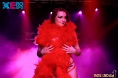 �������ճ���չeroexpo-�������� (52)