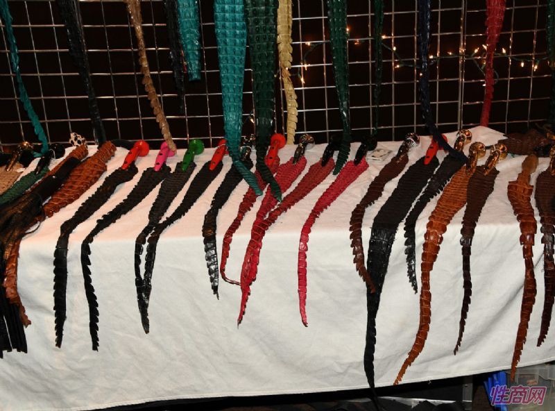 ��˹ά��˹����չAVNShow-��չƷ�� (5)