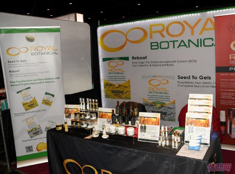 ��˹ά��˹����չAVNShow-��չƷ�� (47)