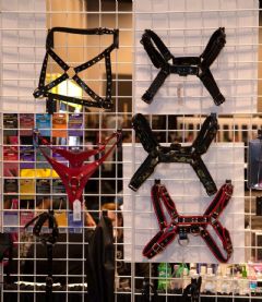 ��˹ά��˹����չAVNShow-��չƷ�� (164)