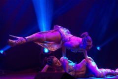 2019����ά�ǳ���չErots�����ʱ���2ͼƬ34