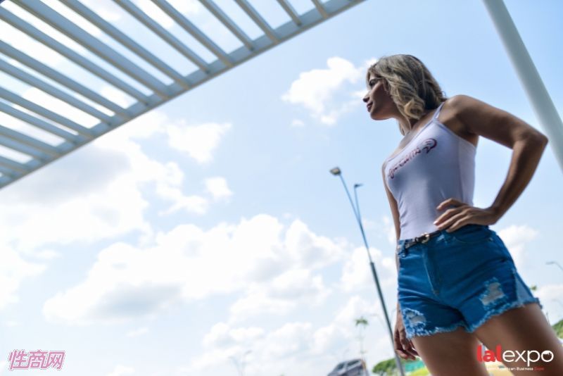 ��������չlalexpo-��չ���� (30)