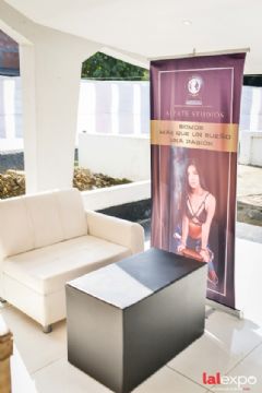 ��������չlalexpo-չ���ֳ� (13)