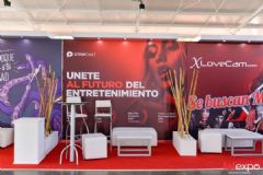 ��������չlalexpo-չ���ֳ� (22)