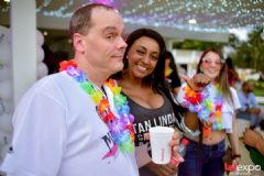 ��������չlalexpo-Ӿ���ɶ� (30)