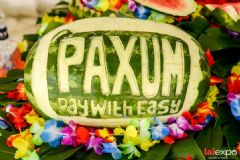 ��������չlalexpo-Ӿ���ɶ� (38)