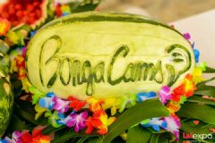 ��������չlalexpo-Ӿ���ɶ� (39)