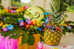 ��������չlalexpo-Ӿ���ɶ� (40)