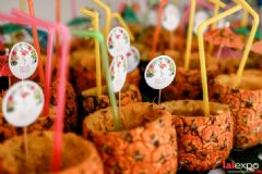 ��������չlalexpo-Ӿ���ɶ� (54)