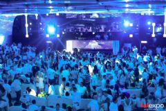 ��������չlalexpo-��ɫ�ɶ� (26)