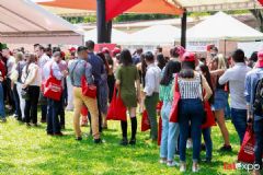 ��������չlalexpo-���ֻ� (38)