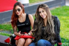 ��������չlalexpo-���ֻ� (47)