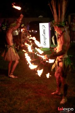 2019��������չlalexpo�����ʱ���