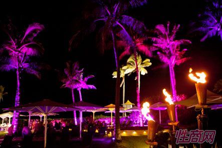 �Ĵ����ǳ���չadultex-�����ɶ� (1)