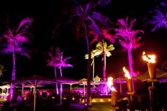 �Ĵ����ǳ���չadultex-�����ɶ� (1)