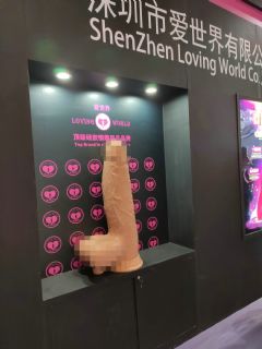 19�Ϻ�����չ-չ���ֳ� (47)