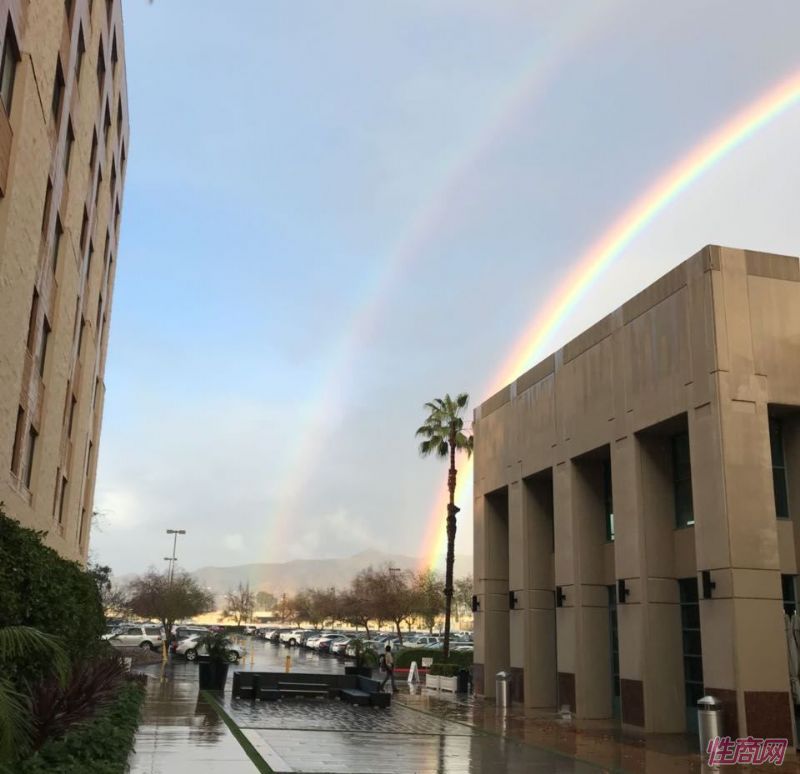 ���Ѥ���Ĳʺ�