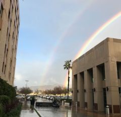 ���Ѥ���Ĳʺ�