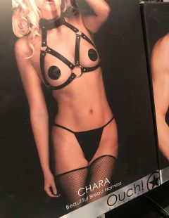 2018������ɼ������չANME - �ֳ�����2ͼƬ21