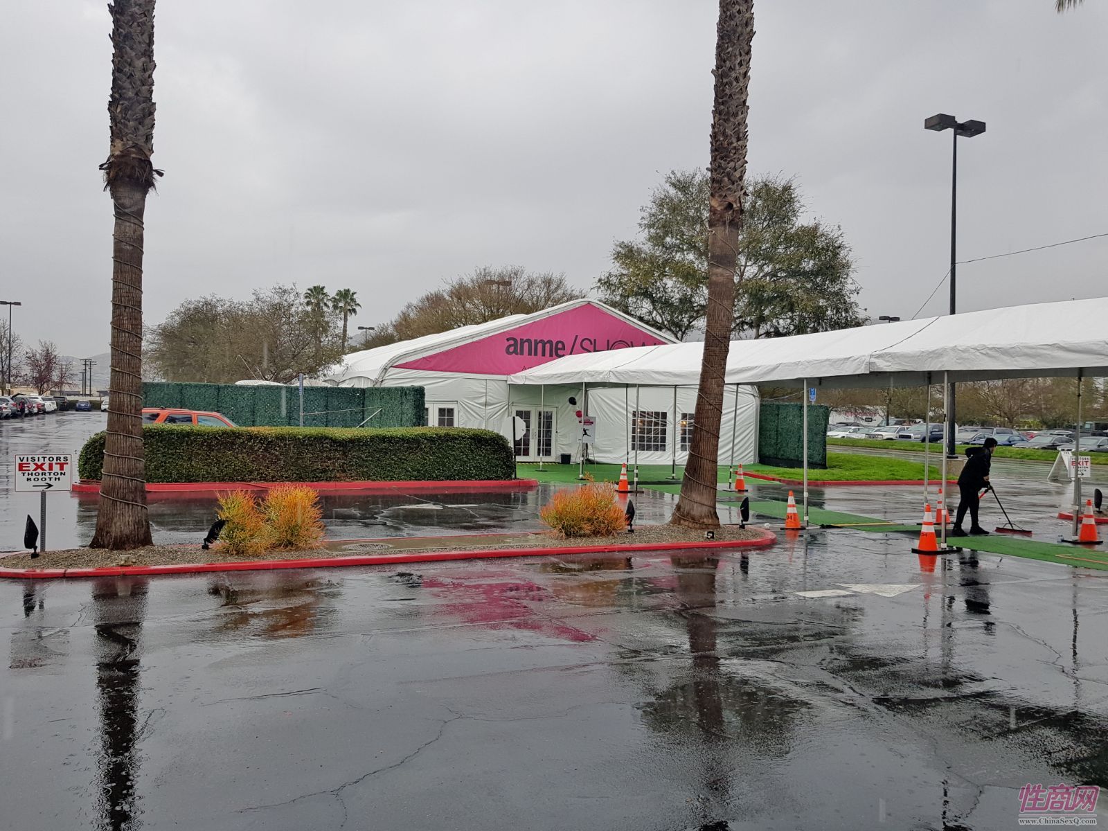 2018冬季洛杉矶成人展ANME - 现场集锦2图片39