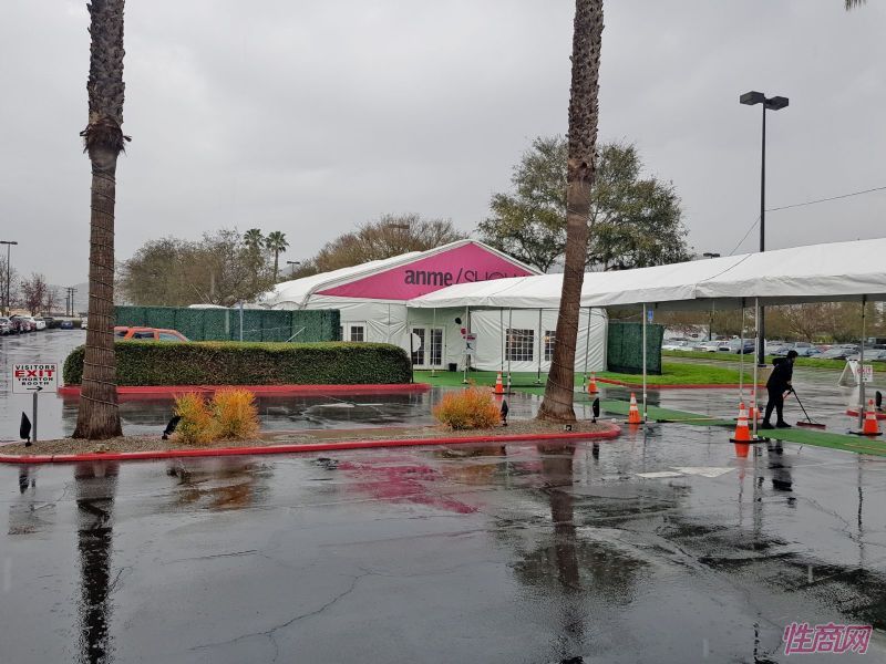 2018冬季洛杉矶成人展ANME - 现场集锦2图片39